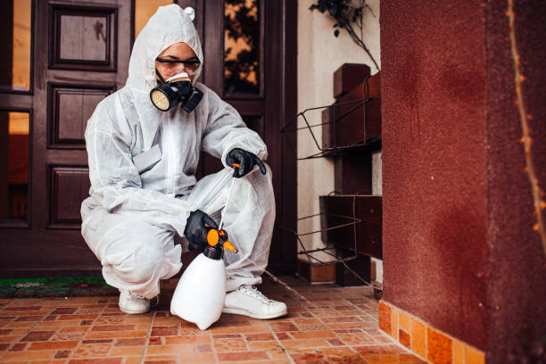 Reliable Bed Bug Control contractor in Hiawatha, KS by Nex Pest Control