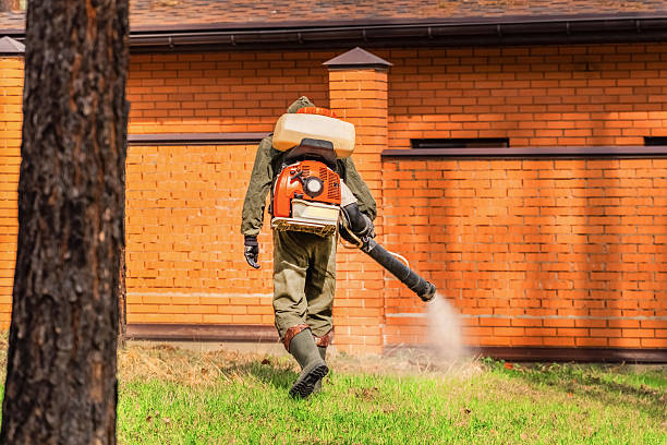Trusted Ant Control service in Hiawatha, KS - Nex Pest Control